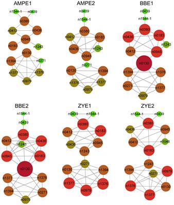 Combining association with linkage mapping to dissect the phenolamides metabolism of the maize kernel